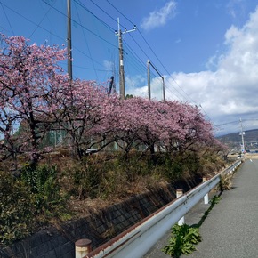サンプル